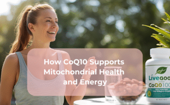 How CoQ10 Supports Mitochondrial Health and Energy
