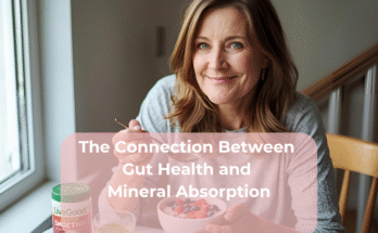 The Connection Between Gut Health and Mineral Absorption