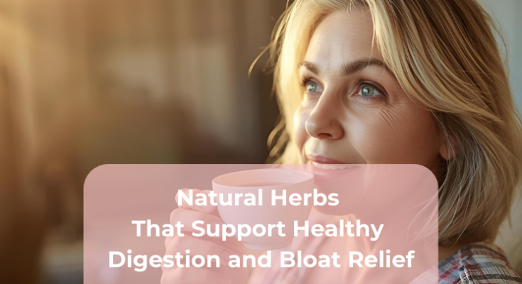 Natural Herbs That Support Healthy Digestion and Bloat Relief