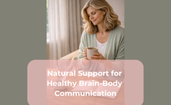 Natural Support for Healthy Brain-Body Communication