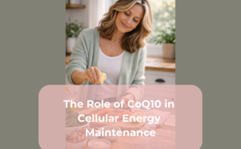 The Role of CoQ10 in Cellular Energy Maintenance